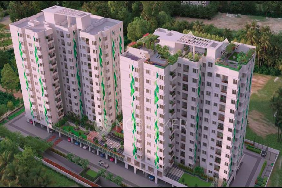 Macasa Emerald